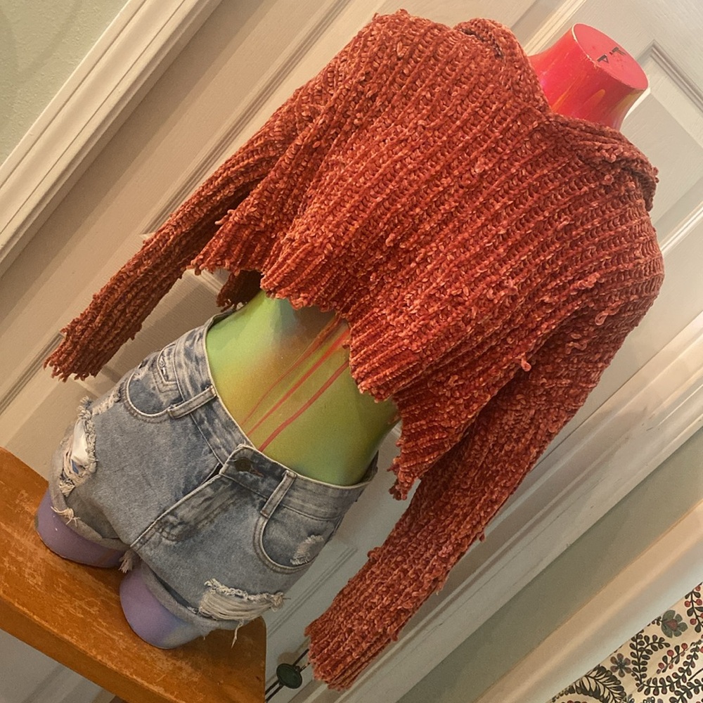 DEE DEE Rusted Orange Cropped Knit Sweater Hoodie